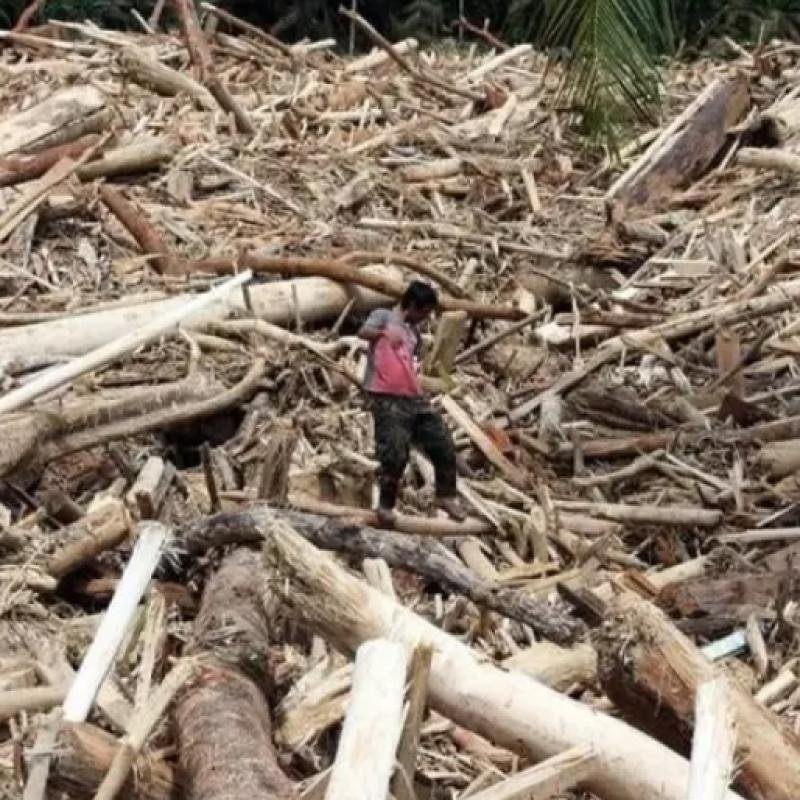 Obrolan Gardu RT tentang Banjir Kayu Glondongan yang Membatalkan Semua Kebenaran