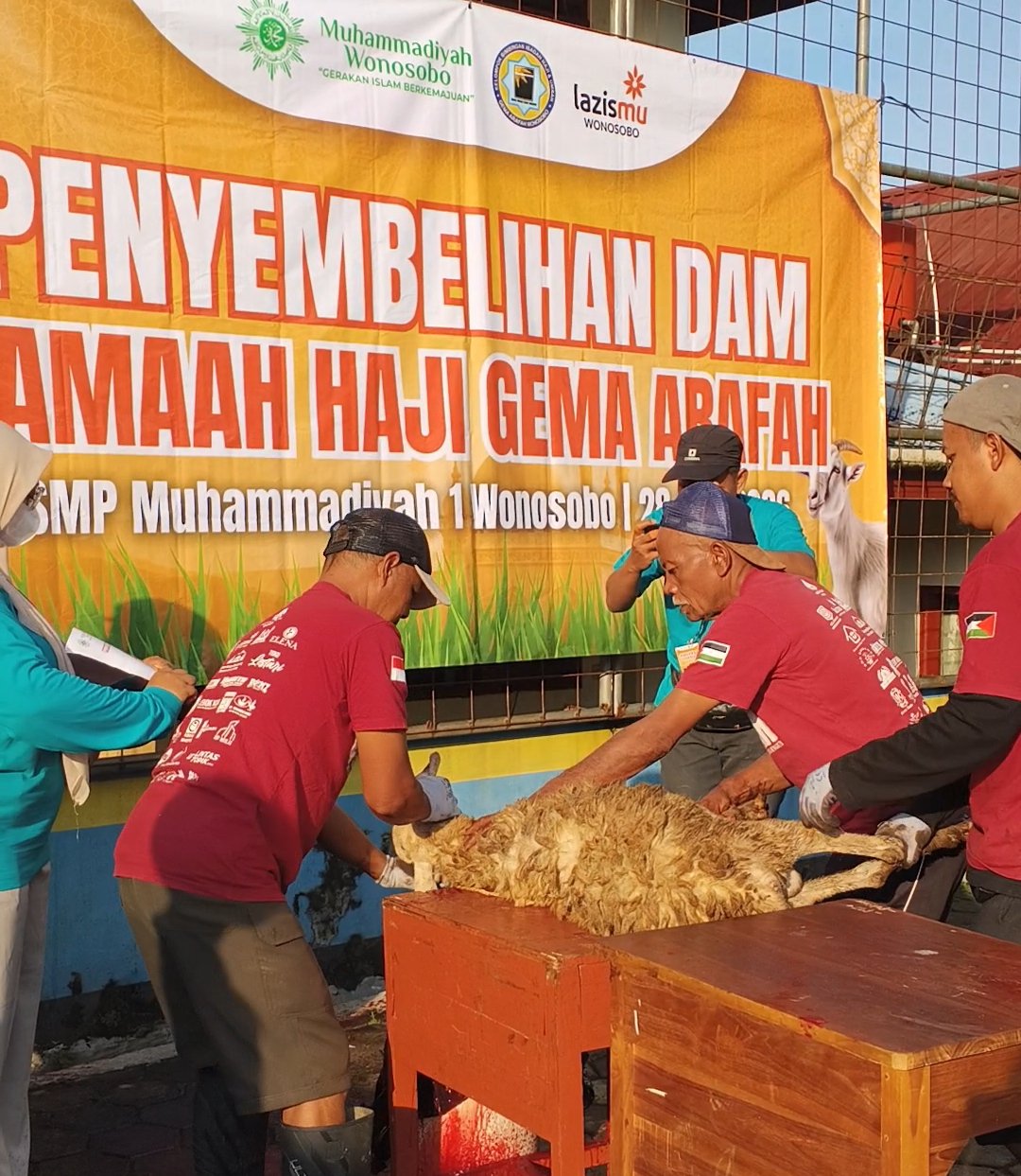 Pertama di Wonosobo, KBIHU Gema Arofah dan Lazismu Sembelih 171 Kambing Dam Haji di Tanah Air - Gambar 12