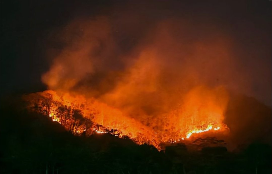 Api Karhutla Gunung Sumbing Meluas ke Sisi Barat Daya, Tim Gabungan Evakuasi 152 Pendaki - Gambar 6