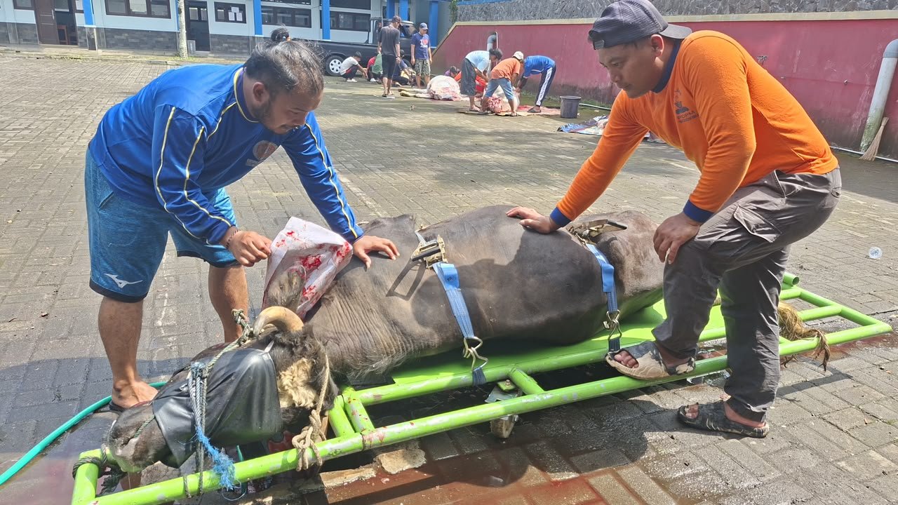 Idul Adha 2026 : Aksi Nyata SMK Mutu Wonosobo Salurkan Ratusan Paket Daging Qurban, Latih Jiwa Sosial Pelajar! - Gambar 3
