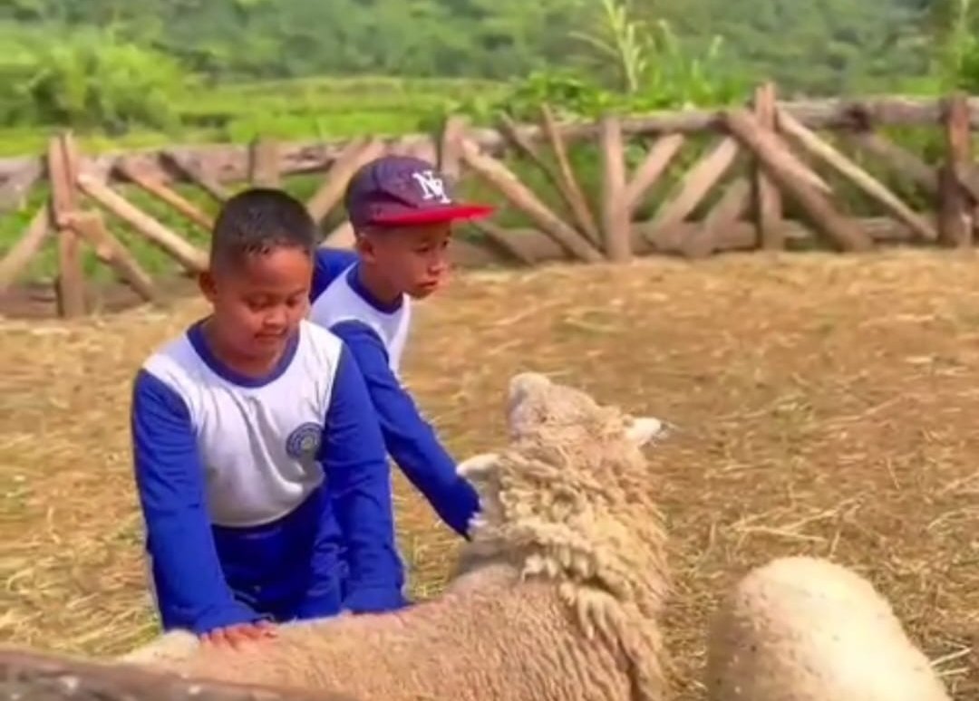 Tumbuhkan Disiplin dan Ekoteologi, Siswa MI Hamka Wonosobo Belajar Langsung di Terminal Mendolo serta Swiss van Java - Gambar 11