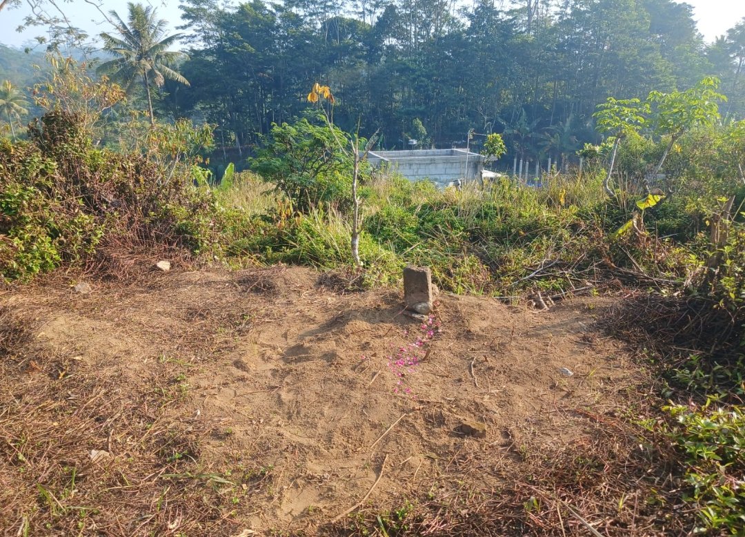 Muhammadiyah Optimalkan Aset Umat, JATAM Tanam Kopi dan Alpukat Demi Perkuat Ketahanan Pangan Nasional - Gambar 2