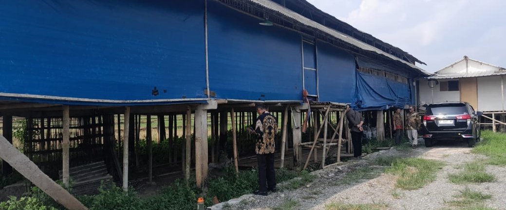 Sinergi PCM Kaliwiro dan UMP: Kembangkan Eduwisata hingga Peternakan Kambing Perah Multi Years - Gambar 5