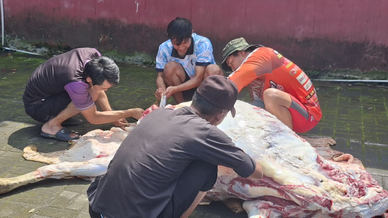 Idul Adha 2026 : Aksi Nyata SMK Mutu Wonosobo Salurkan Ratusan Paket Daging Qurban, Latih Jiwa Sosial Pelajar! - Gambar 6