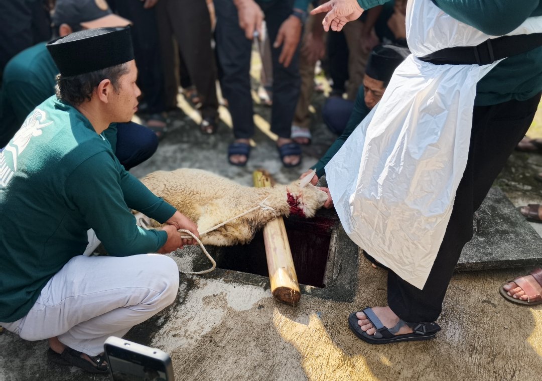 Untuk Memastikan Pelaksanaan Qurban Syar'i, Muhammadiyah Wonosobo Gelar Pelatihan Sembelih Halal dan Launching JagalMu Wonosobo - Gambar 11