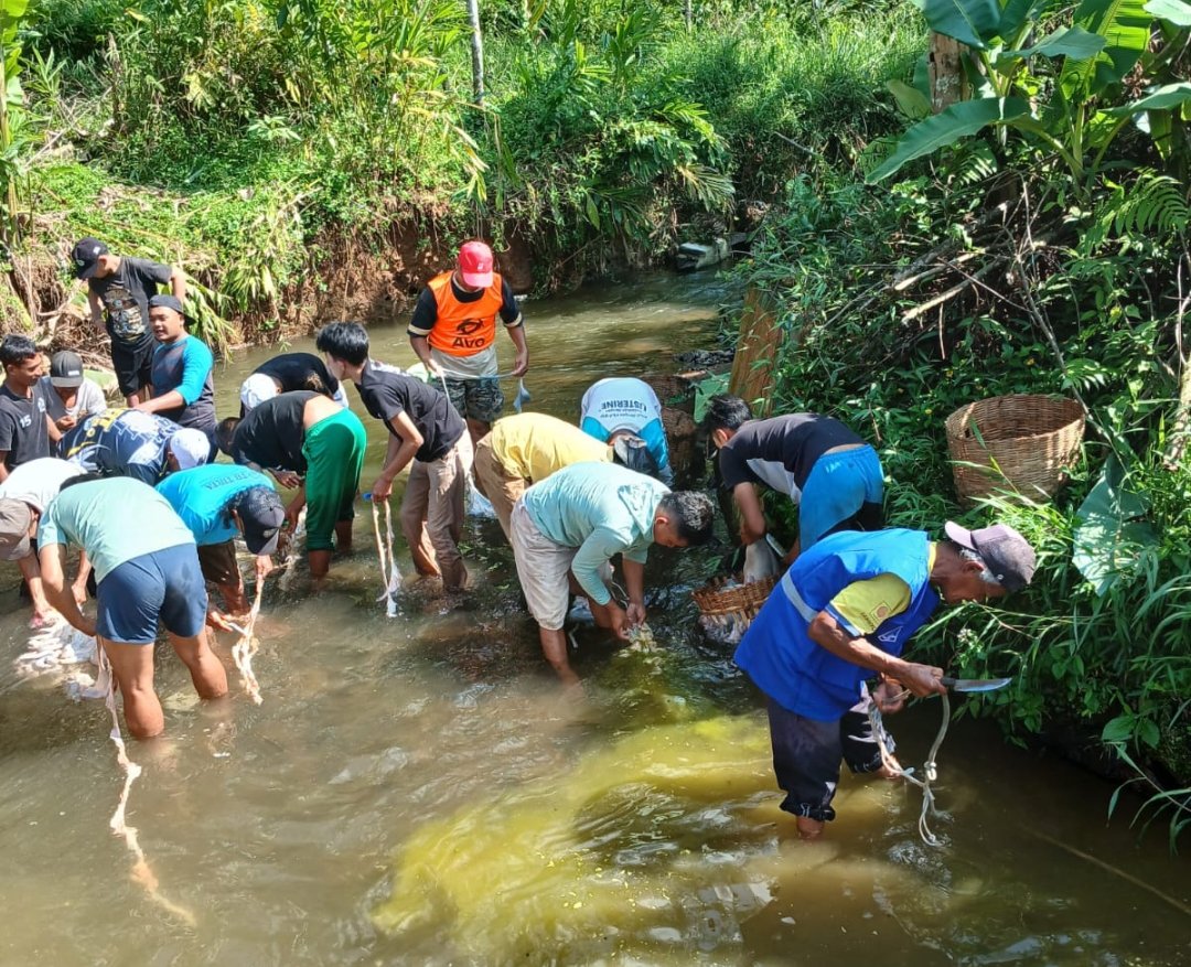 Idul Adha 1447 H : PCM Wonosobo Sembelih 11 Sapi dan 46 Kambing Qurban, Salurkan 1.862 Kantong Daging - Gambar 6