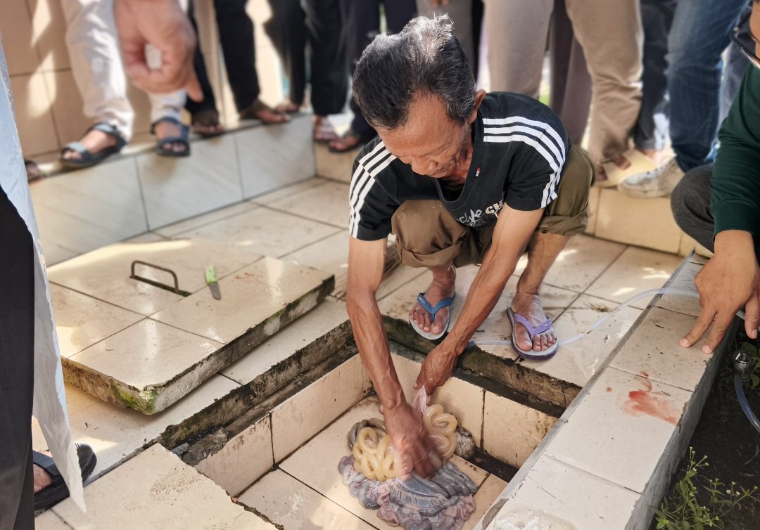 Untuk Memastikan Pelaksanaan Qurban Syar'i, Muhammadiyah Wonosobo Gelar Pelatihan Sembelih Halal dan Launching JagalMu Wonosobo - Gambar 13