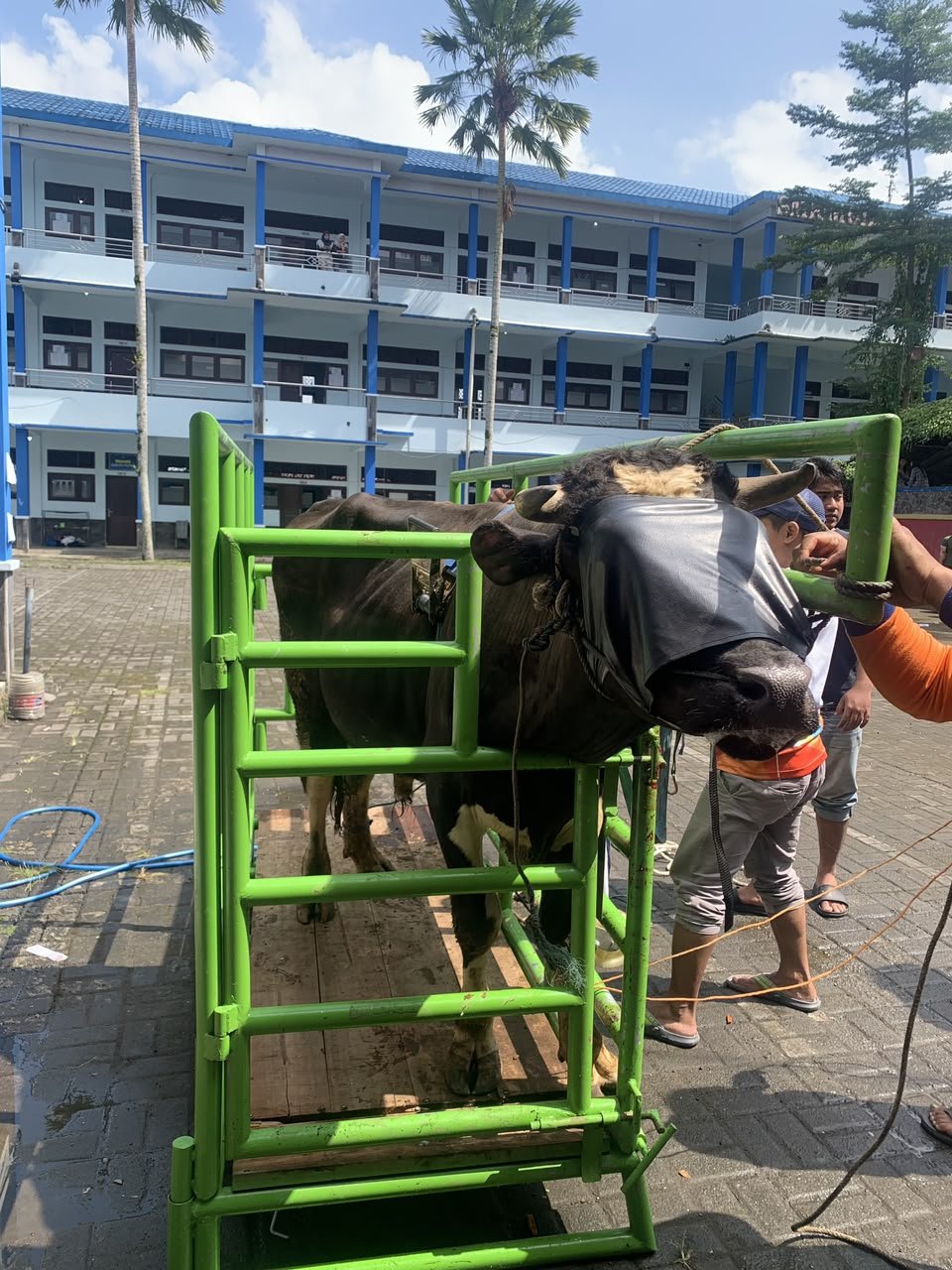 Idul Adha 2026 : Aksi Nyata SMK Mutu Wonosobo Salurkan Ratusan Paket Daging Qurban, Latih Jiwa Sosial Pelajar! - Gambar 11