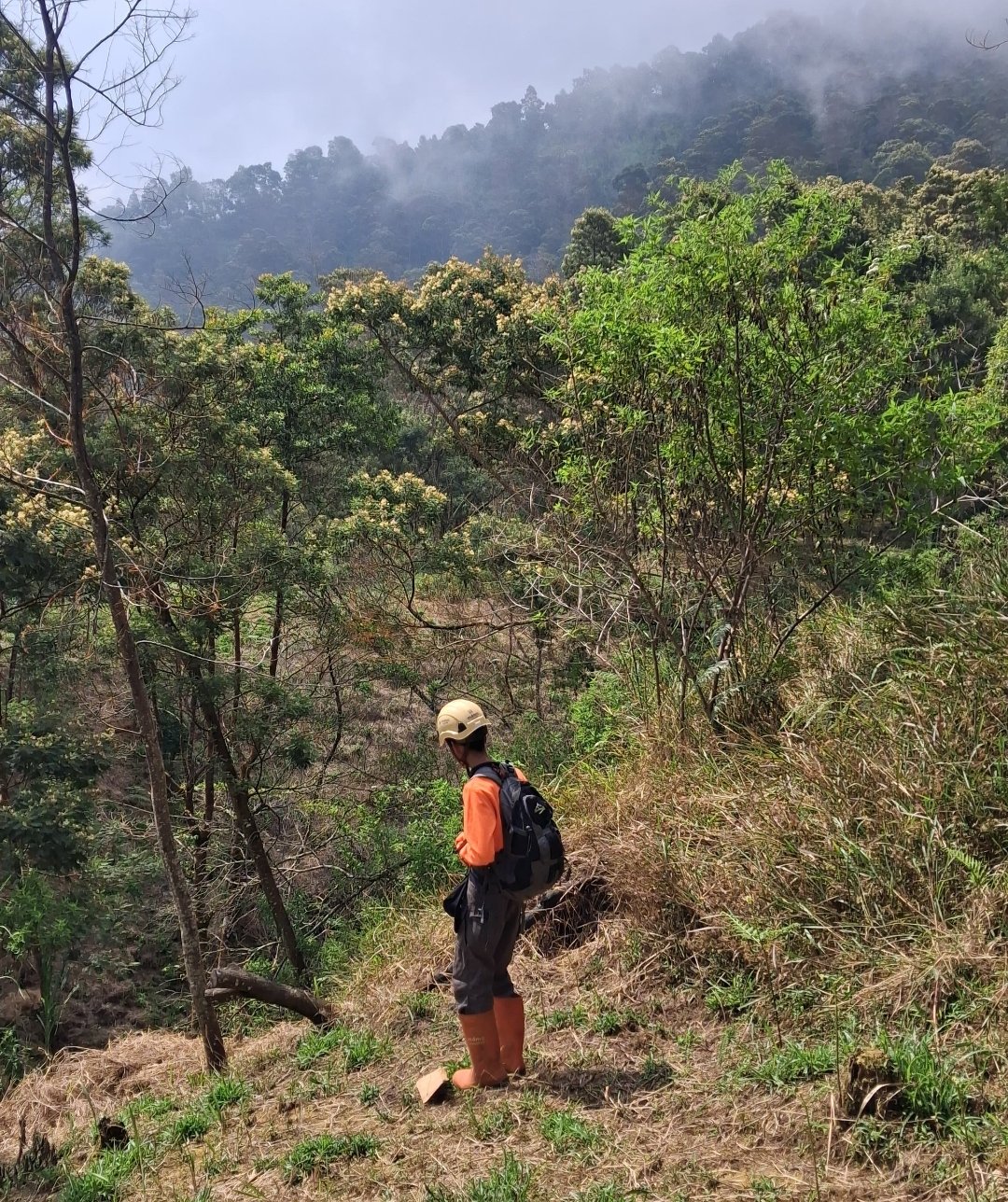 Api Karhutla Gunung Sumbing Meluas ke Sisi Barat Daya, Tim Gabungan Evakuasi 152 Pendaki - Gambar 10