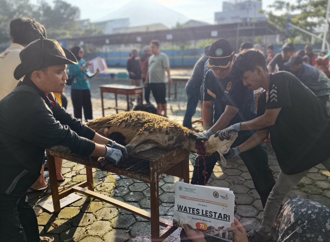 Pertama di Wonosobo, KBIHU Gema Arofah dan Lazismu Sembelih 171 Kambing Dam Haji di Tanah Air - Gambar 9