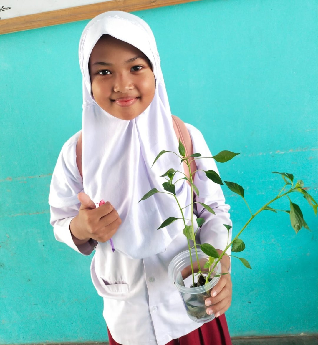 Ajarkan Kasih Sayang pada Makhluk Hidup, MI Hamka Wonosobo Bagikan Bibit Ayam dan Cabai ke Siswa Baru - Gambar 5